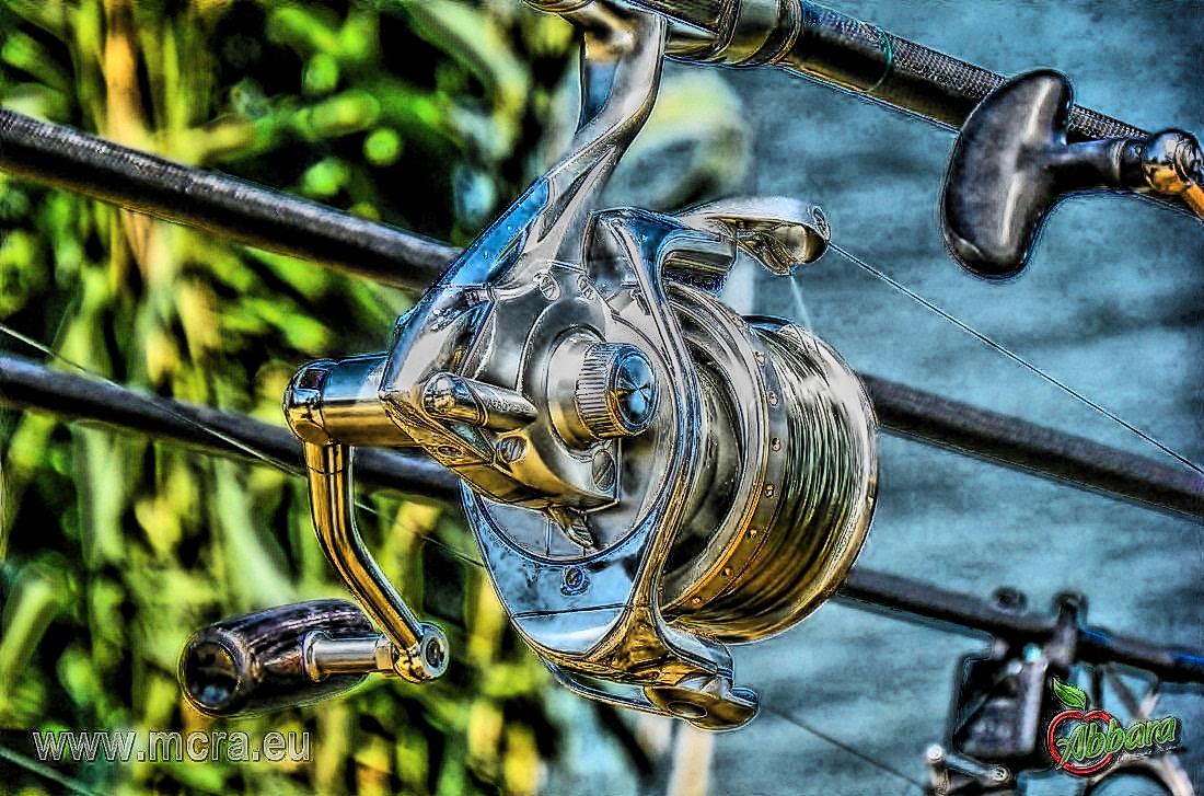 MeetCarp Romanian Awards 2013 (2) - 1016917hdrmode2-2.jpg